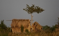  marais de Bangweulu, maison de pêcheur, Zambie, photographie animalière, safari 